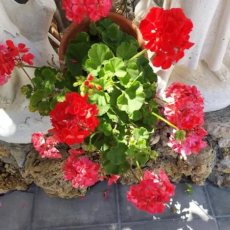 Apartment Cantinho Do Sol