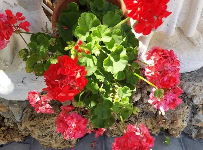 아파트 Cantinho Do Sol